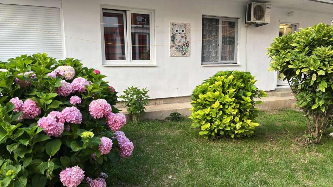 Apartment Aleksandra Bar Exterior photo